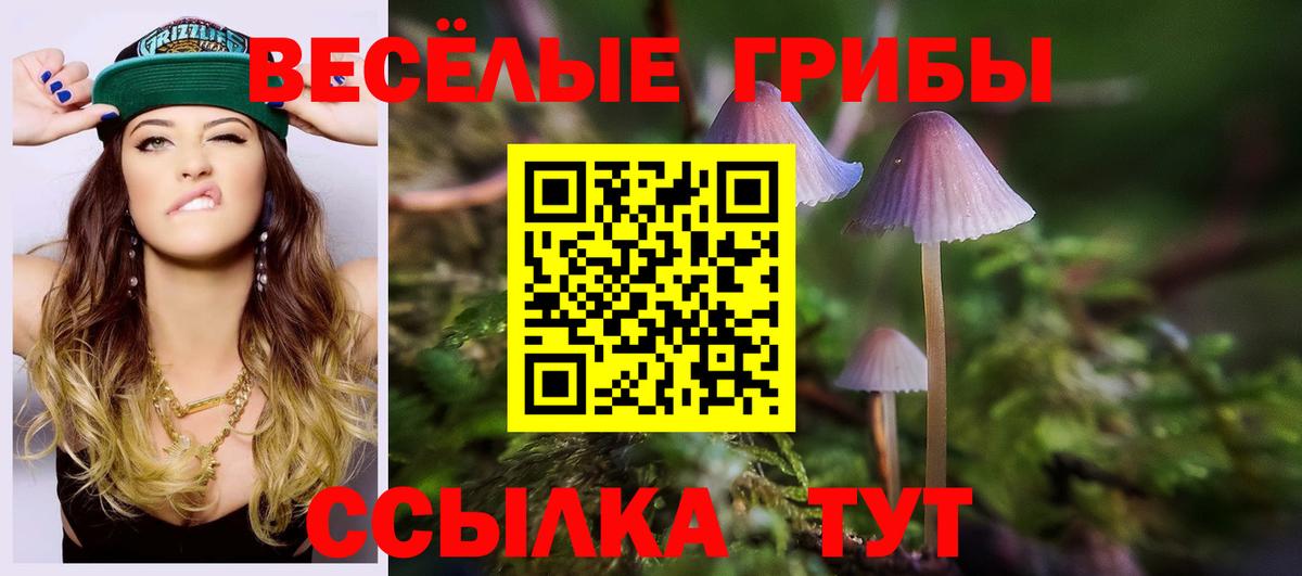 Галлюциногенные грибы MAGIC MUSHROOMS Кохма